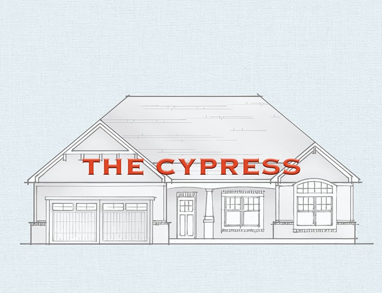 CYPRESS-2