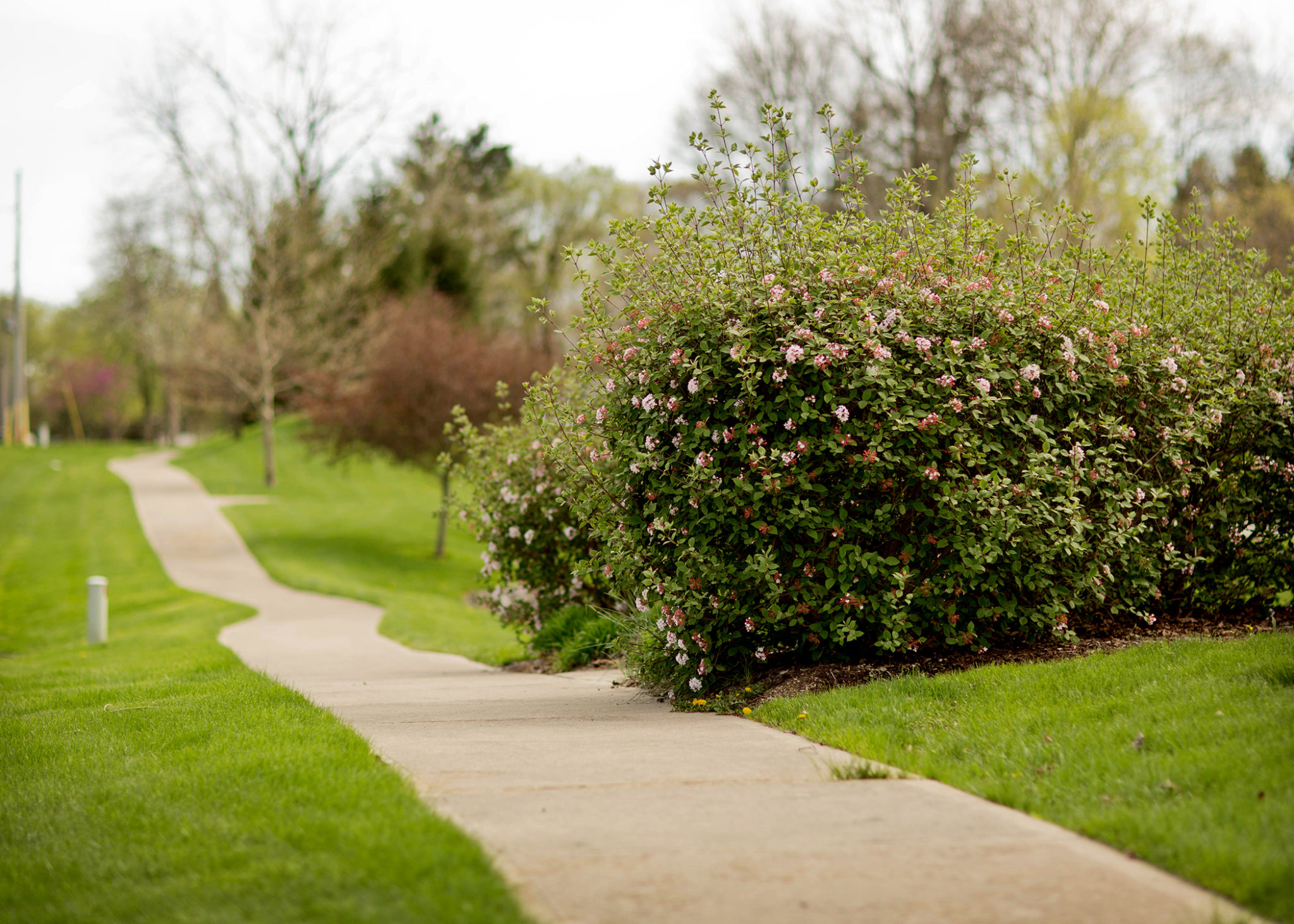 The Ridges Over Brandywine