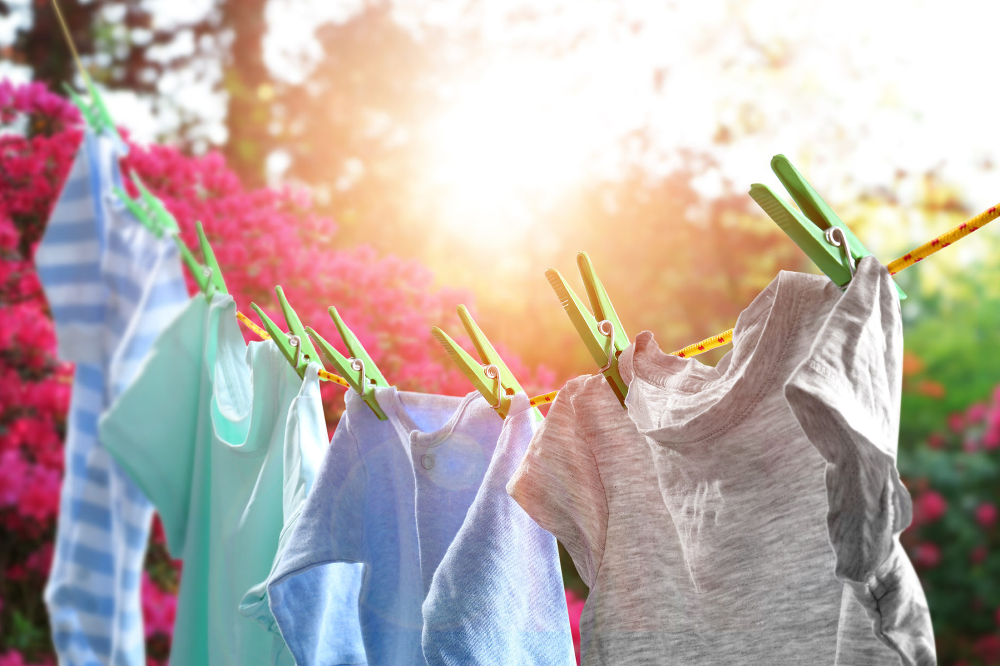 Clothes Line Everyone A Clothesline for Everyone!
